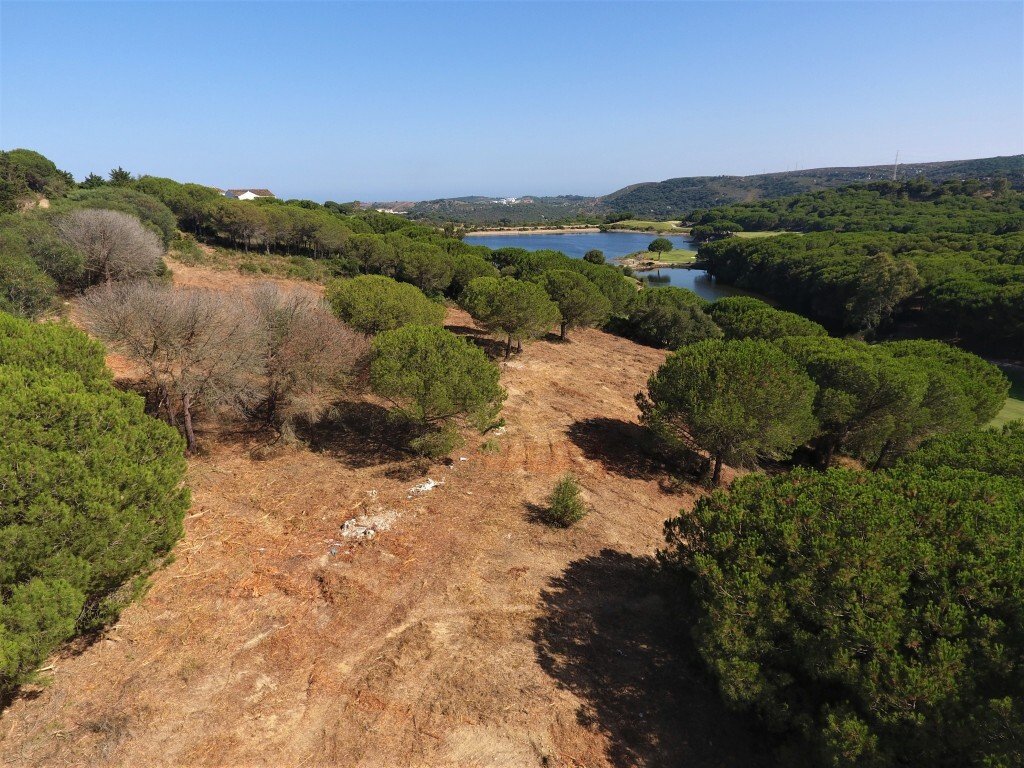 Land in San Roque, Andalusia, Spain 4 - 13456250