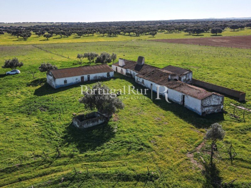 Farm Of 33 Hectares With House And In Monforte, Portalegre District ...