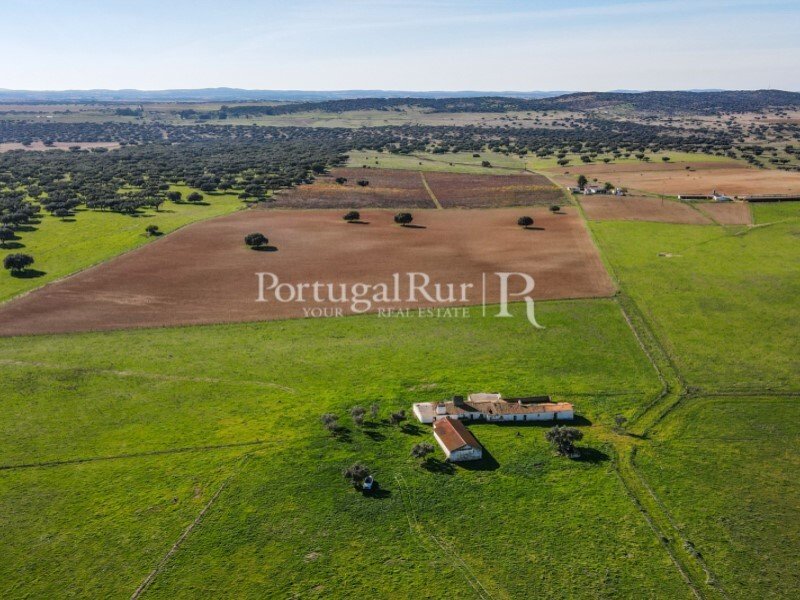 Farm Of 33 Hectares With House And In Monforte, Portalegre District ...