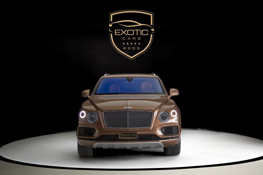 Suv in Dubai, Dubai, United Arab Emirates 2 - 13461815