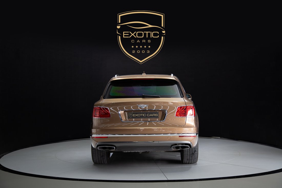 Suv in Dubai, Dubai, United Arab Emirates 5 - 13461815