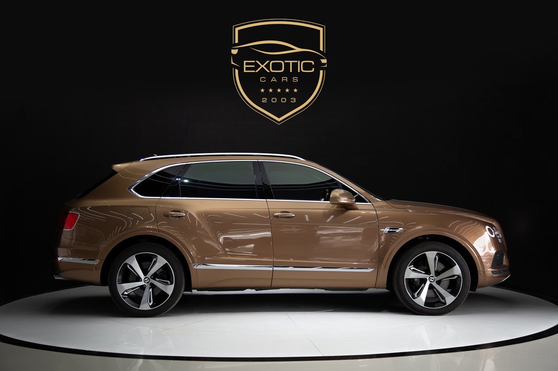 Suv in Dubai, Dubai, United Arab Emirates 3 - 13461815