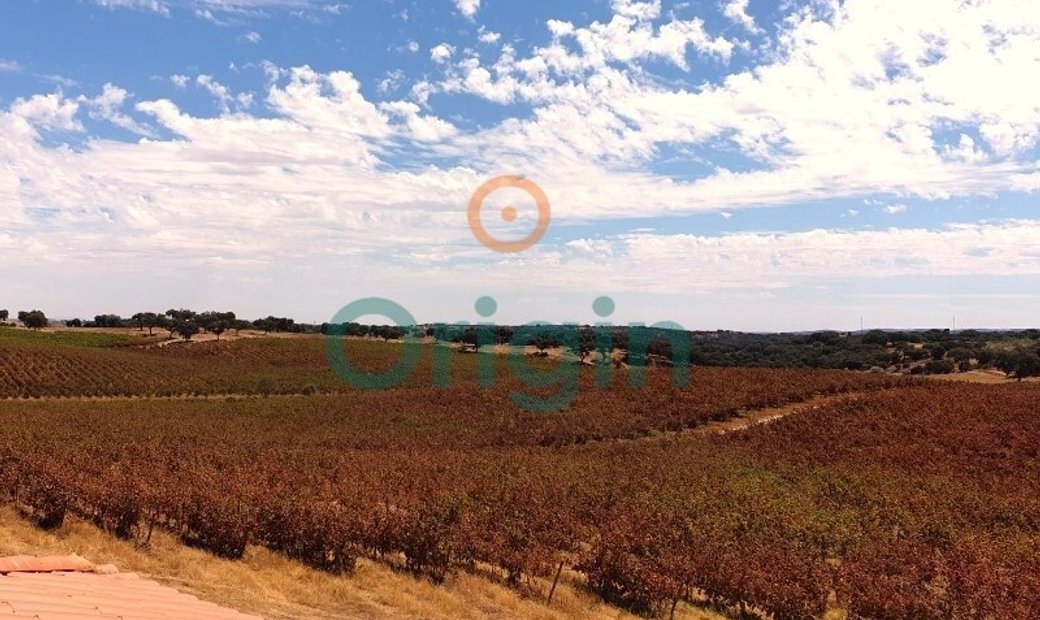 Country Estate Sale Elvas In Elvas, Portalegre District, Portugal For ...