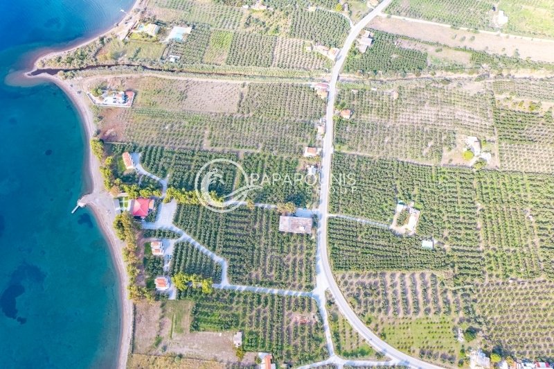 Land in Koinotita Thermisias, Ermioni, Greece 5 - 13462903