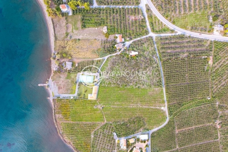 Land in Koinotita Thermisias, Ermioni, Greece 3 - 13462895