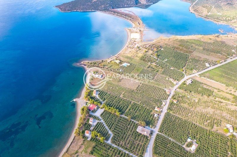 Land in Koinotita Thermisias, Ermioni, Greece 4 - 13462903