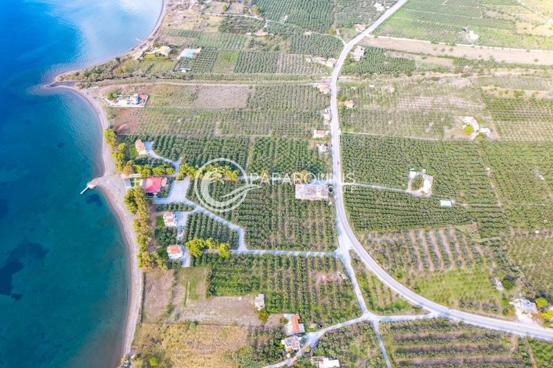 Land in Koinotita Thermisias, Ermioni, Greece 2 - 13462903