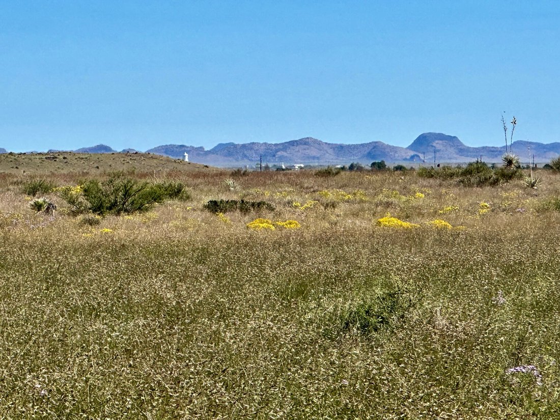 Farm Ranch in Marfa, Texas, United States 1 - 13465048