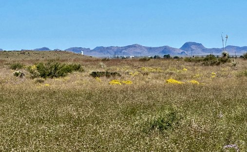 Corps de ferme à Marfa, Texas, États-Unis 1