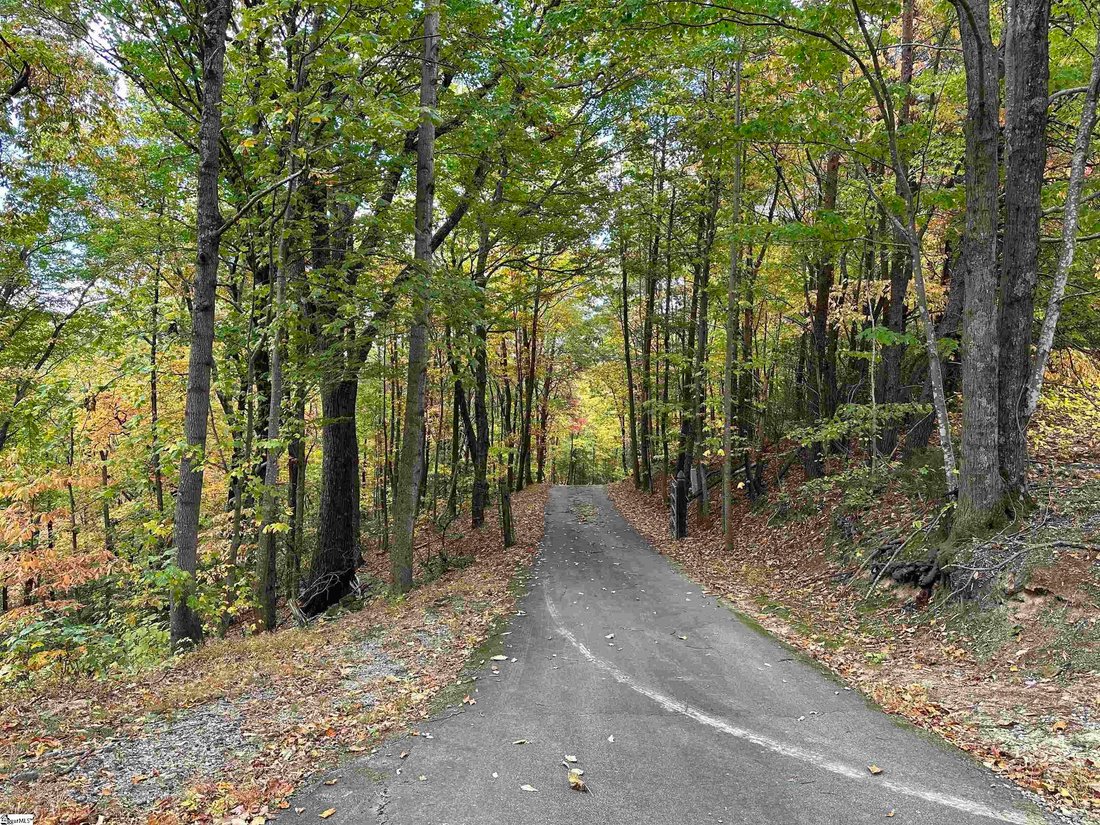 4 Bedrooms Single Family Detached In Landrum, South Carolina, United