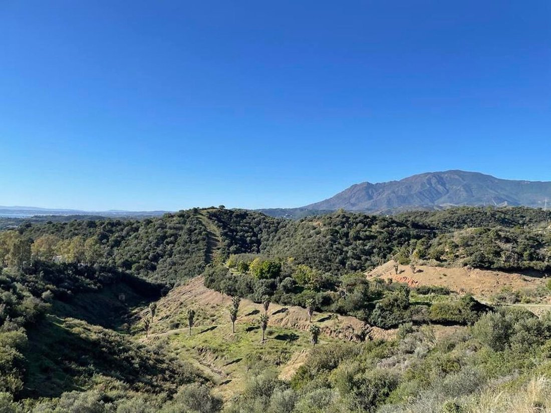 Land in Estepona, Andalusia, Spain 1 - 13465172