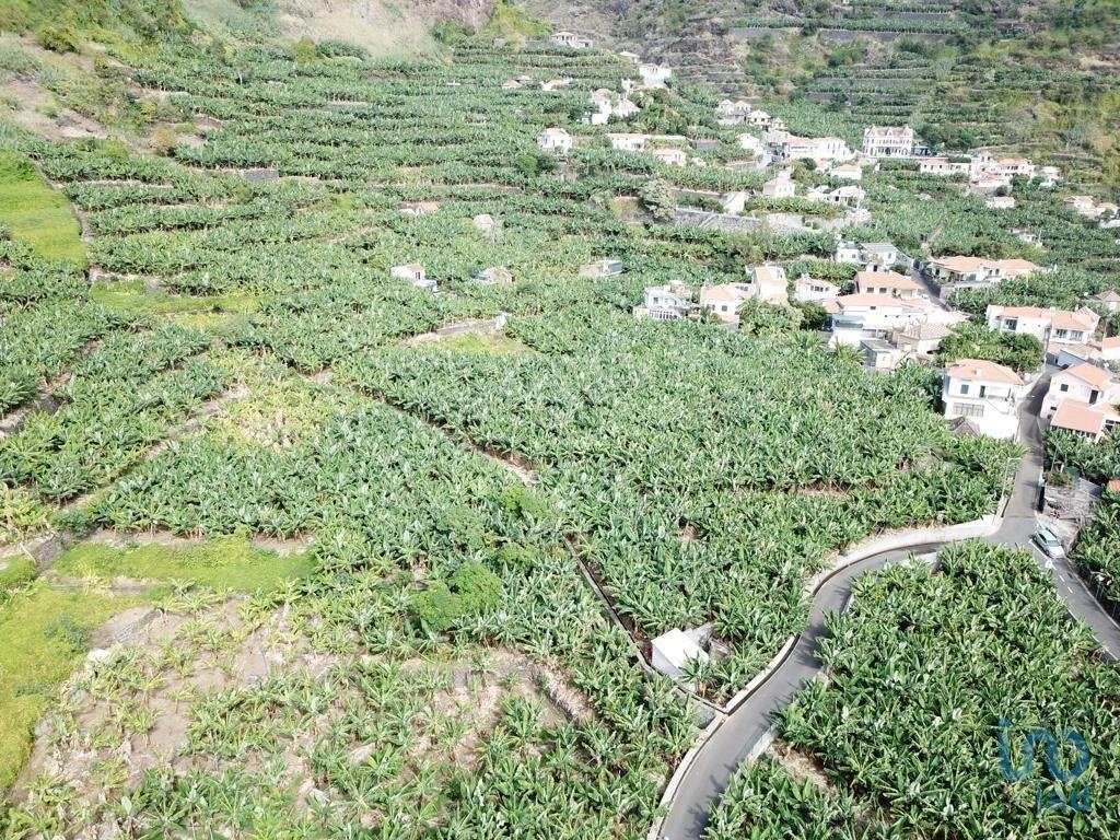 Land in Ponta do Sol, Autonome Region Madeira, Portugal 3 - 13469201