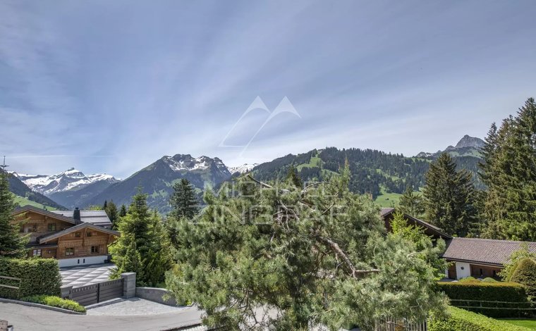 Luxury Real Estate Agency Gstaad, Switzerland