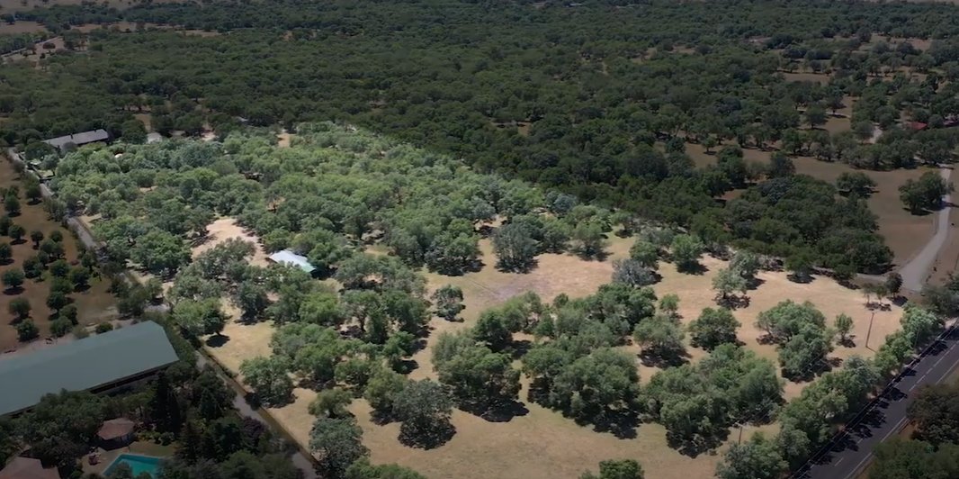 Finca in San Lorenzo de El Escorial, Community of Madrid, Spain 1 - 13471206