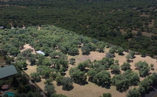 Finca in San Lorenzo de El Escorial, Community of Madrid, Spain 1