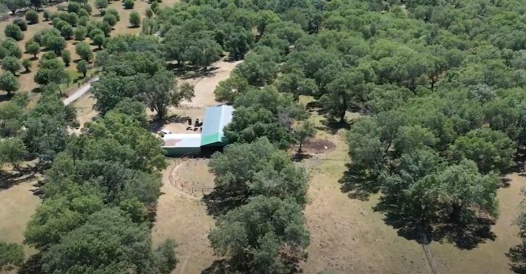 Finca in San Lorenzo de El Escorial, Community of Madrid, Spain 2 - 13471206