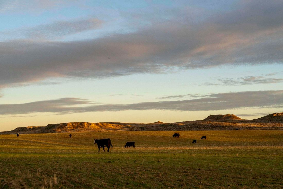 Rock Creek Farm At Fort Peck In Fort Peck, Montana, United States For