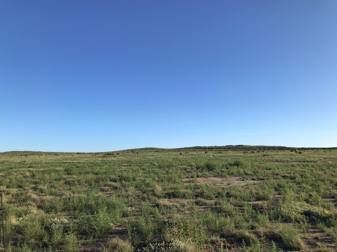 Farm Ranch in Marfa, Texas, United States 5 - 13465048