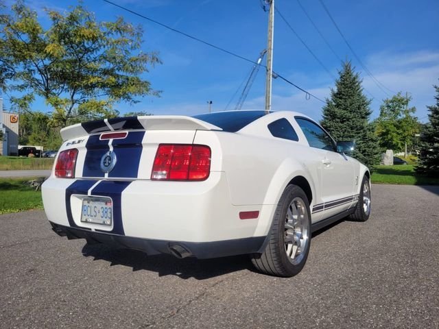 Ford Mustang in Calverton, NY, United States 4 - 13480295
