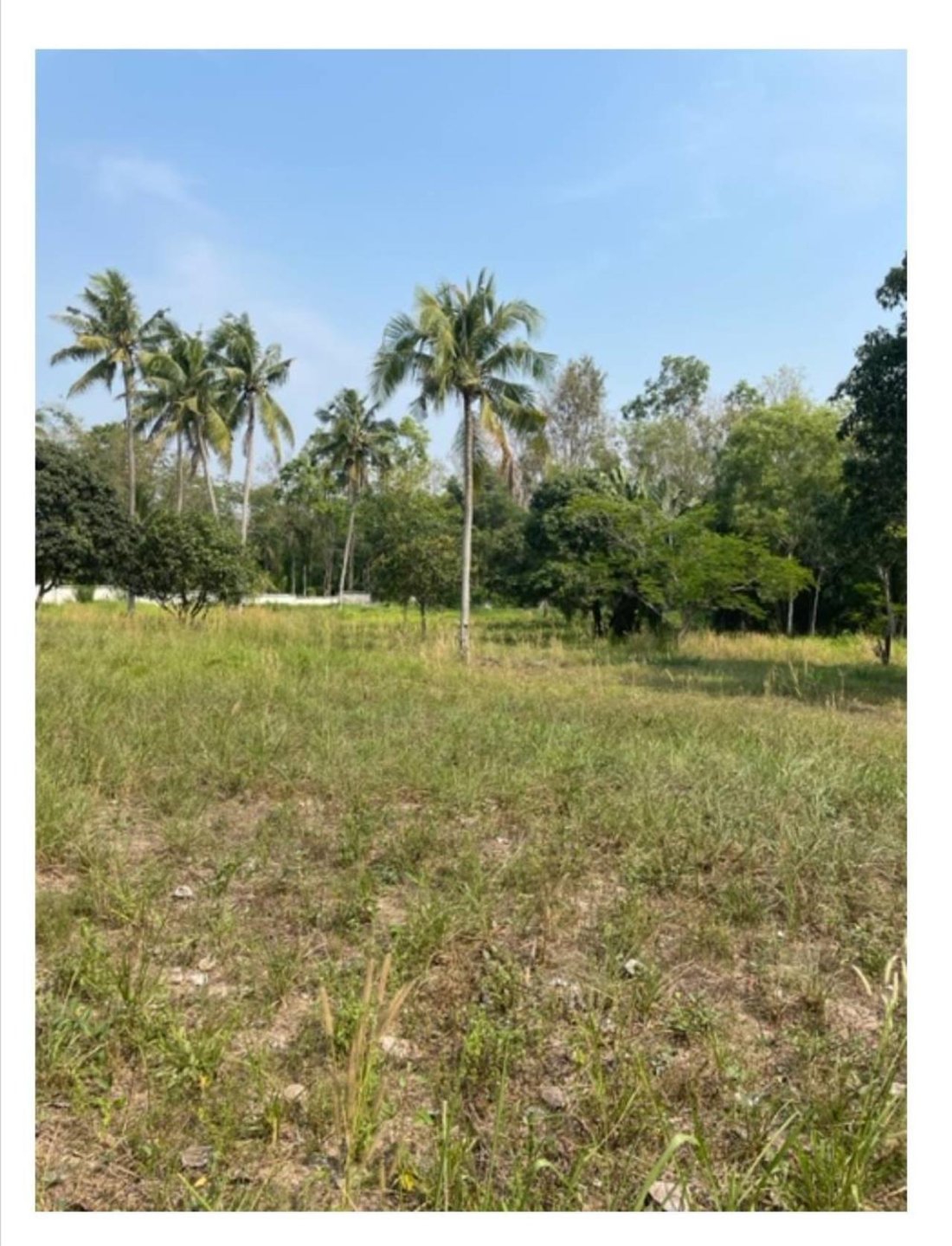 Land For Sale Near Map Prachan Reservoir, In Bang Lamung District