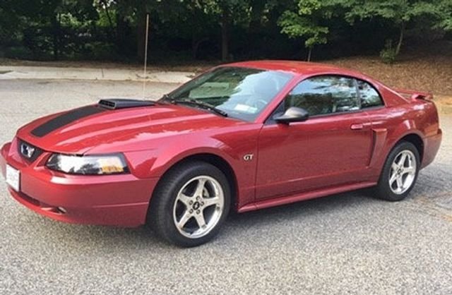 Ford Mustang in Calverton, NY, United States 5 - 13480288