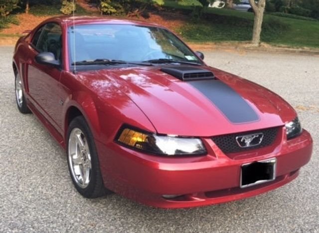 Ford Mustang in Calverton, NY, United States 4 - 13480288