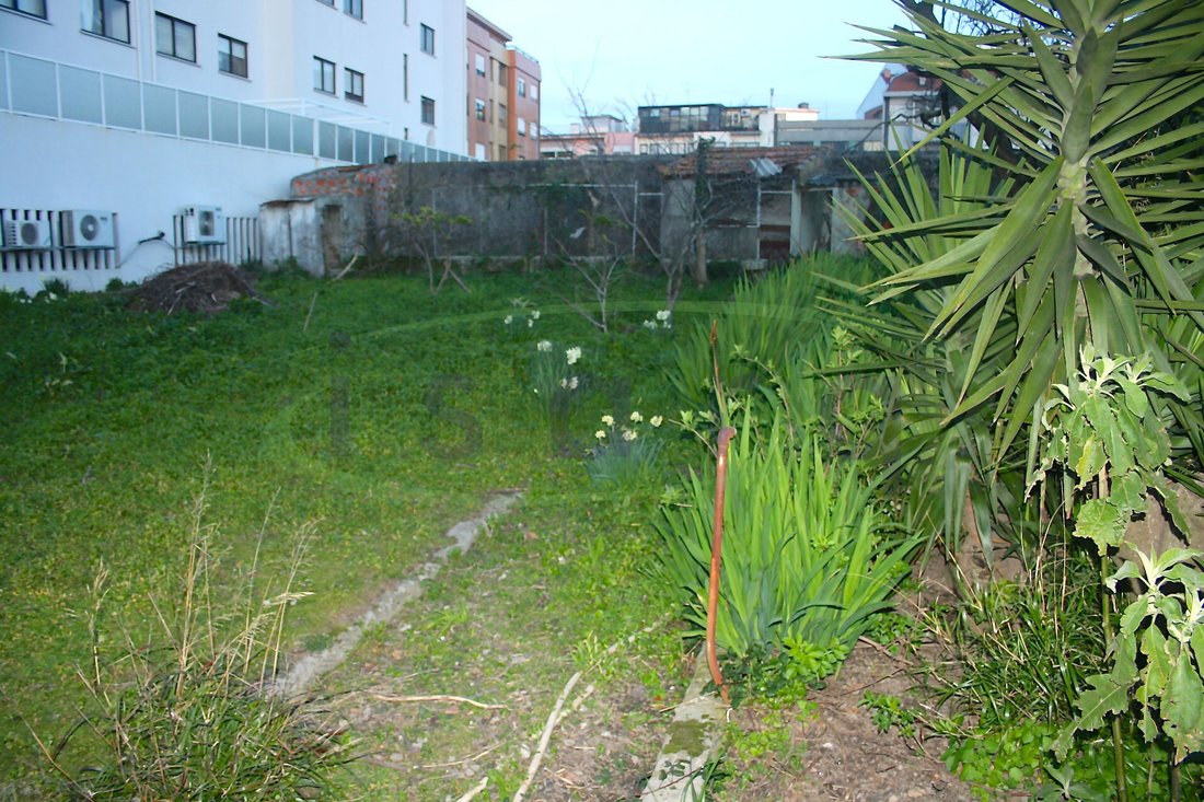Apartment in Cedofeita, Santo Ildefonso, Se, Miragaia, Sao Nicolau e Vitoria, Porto District, Portugal 4 - 10815650