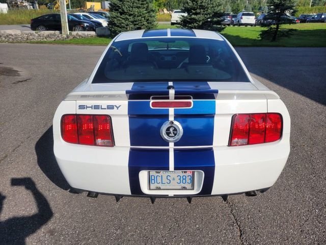 Ford Mustang in Calverton, NY, United States 5 - 13480295