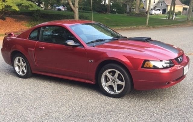 Ford Mustang in Calverton, NY, United States 2 - 13480288