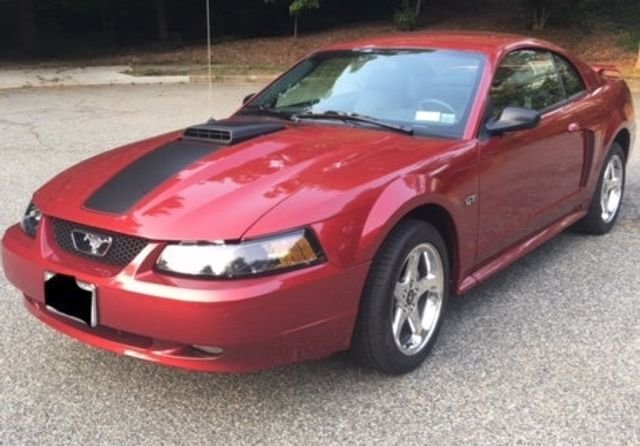Ford Mustang in Calverton, NY, United States 1 - 13480288