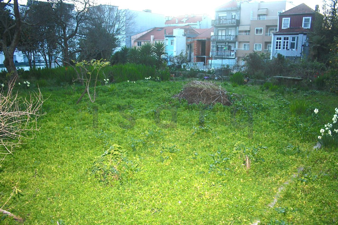 Apartment in Cedofeita, Santo Ildefonso, Se, Miragaia, Sao Nicolau e Vitoria, Porto District, Portugal 5 - 10815650