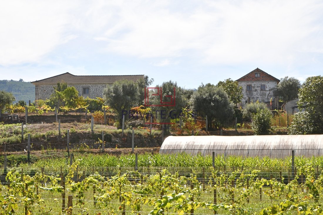 Farm Ranch in Gemieira, Viana do Castelo District, Portugal 5 - 12181041