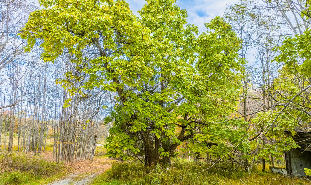 32 Saint Bernard Way, Stanford, Ny In Stanfordville, New York, United