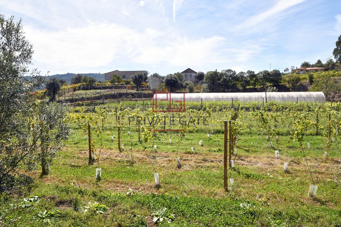 Farm Ranch in Gemieira, Viana do Castelo District, Portugal 5 - 12181041