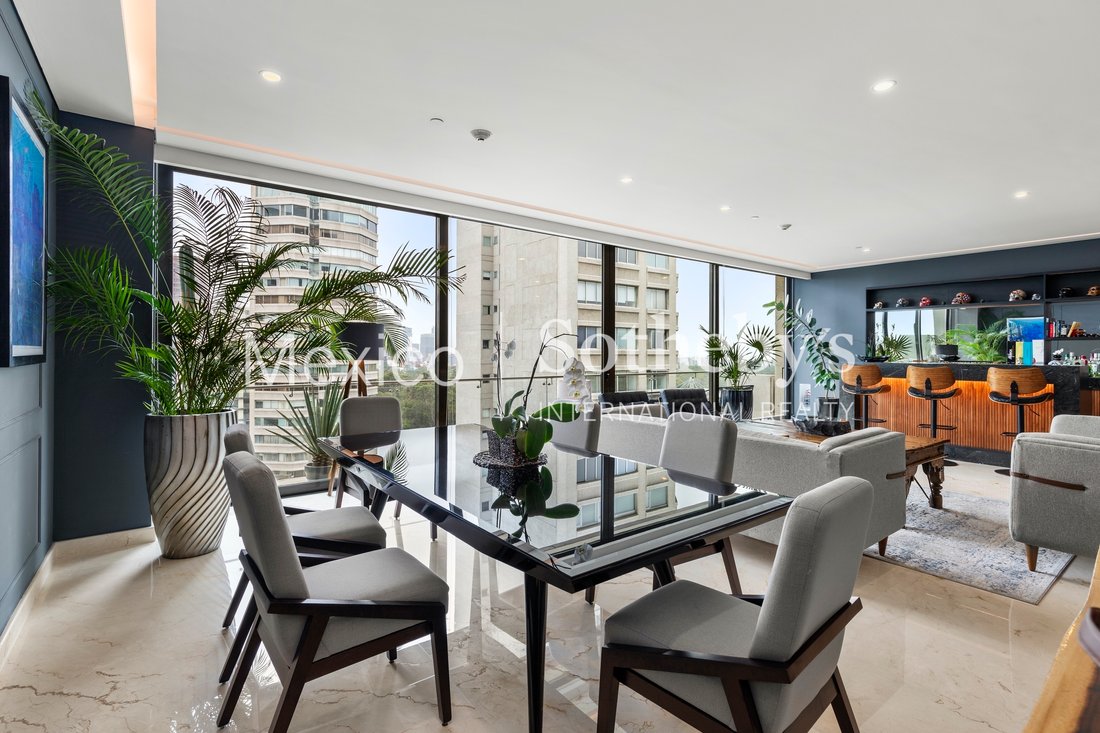 Condo in Mexico City, Mexico 4 - 13481184