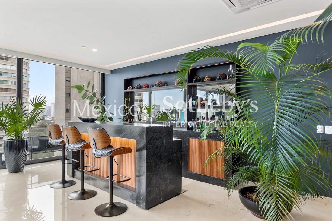 Condo in Mexico City, Mexico 5 - 13481184