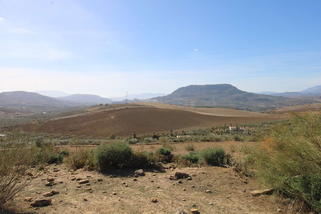 Finca in Alora, Andalusia, Spain 3 - 13487752