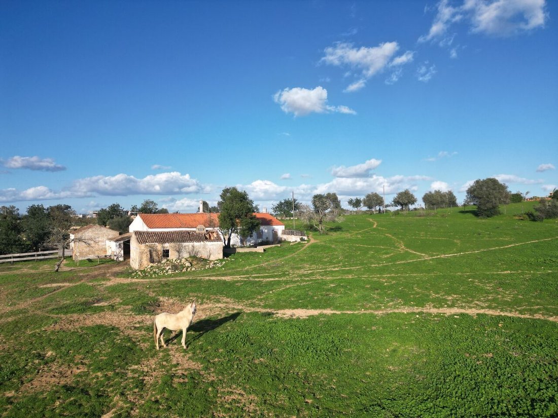 Land in Lagoa und Carvoeiro, Algarve, Portugal 3 - 13487641