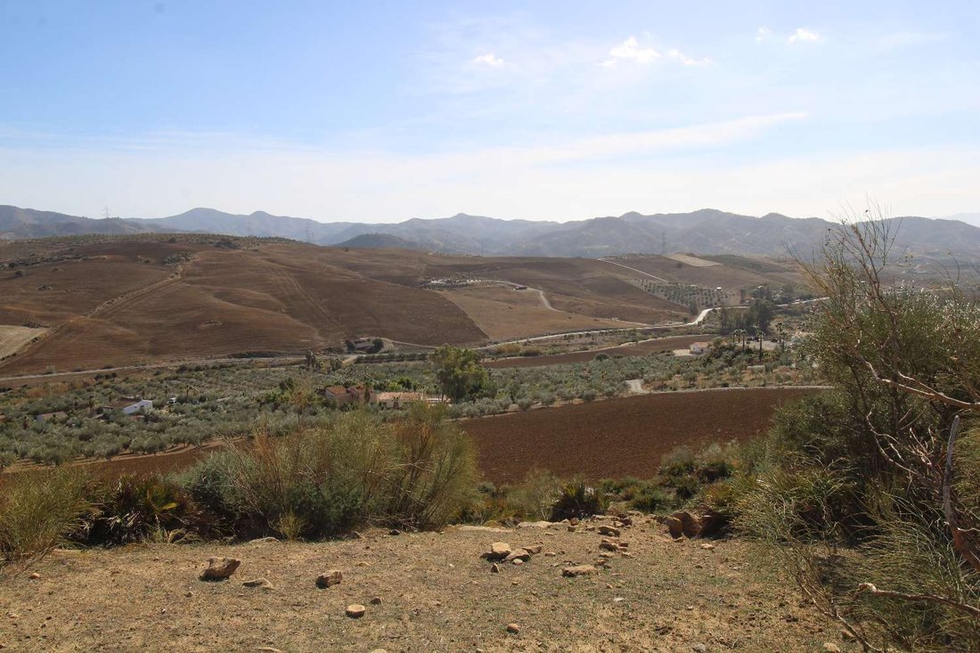 Finca in Alora, Andalusia, Spain 4 - 13487752