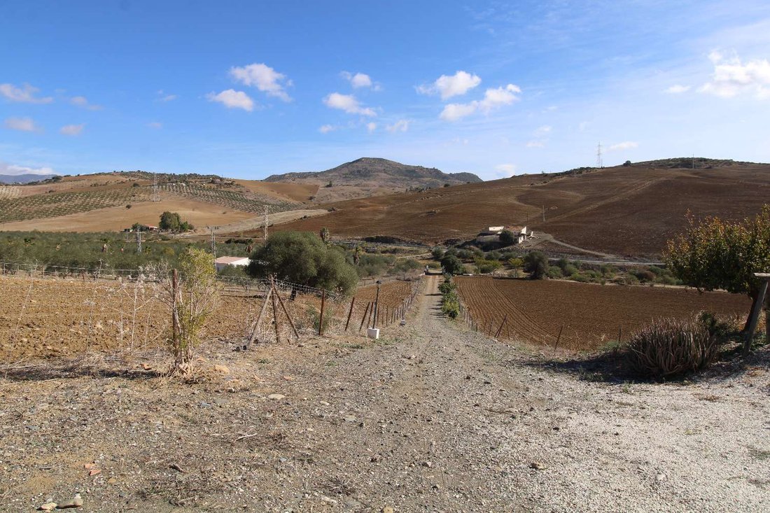 Finca in Alora, Andalusia, Spain 4 - 13487747