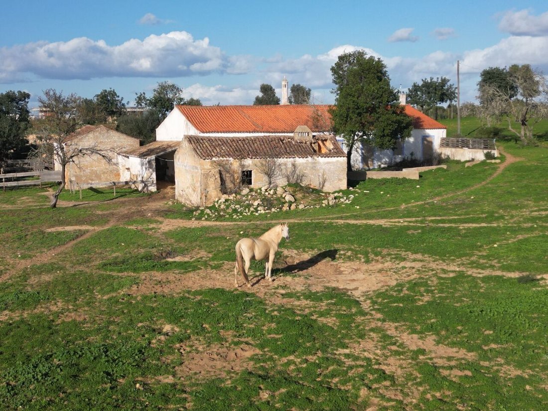 Land in Lagoa e Carvoeiro, Algarve, Portugal 2 - 13487641
