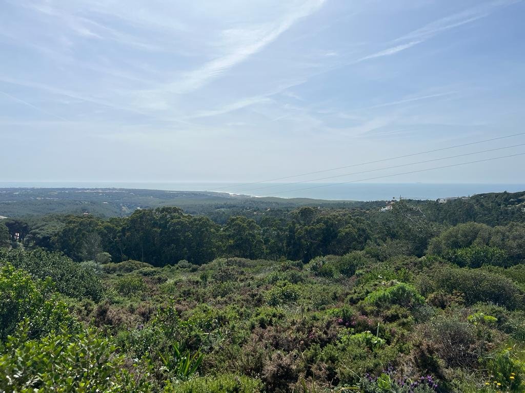 Land in Alcabideche, Lisbon, Portugal 1 - 13440050