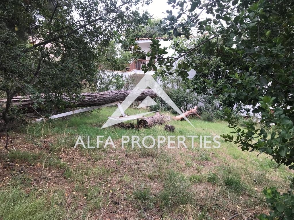 Land in Ekali, Attica, Greece 5 - 13492112