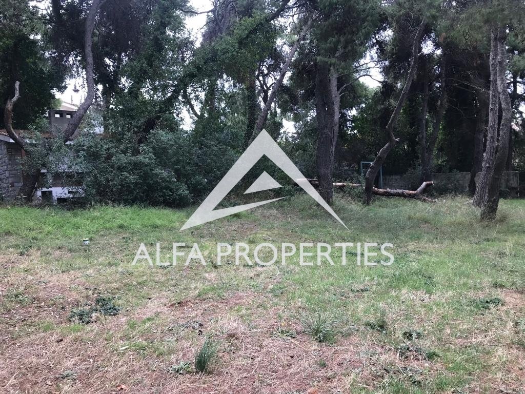 Land in Ekali, Attica, Greece 3 - 13492112
