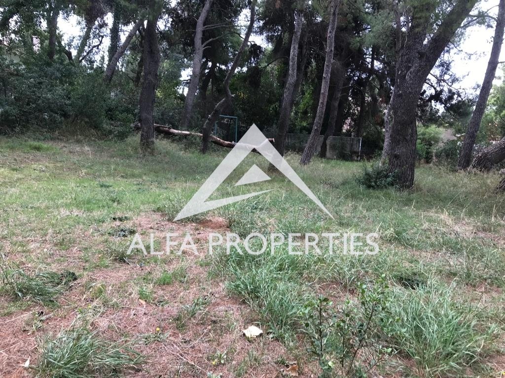 Land in Ekali, Attica, Greece 4 - 13492112