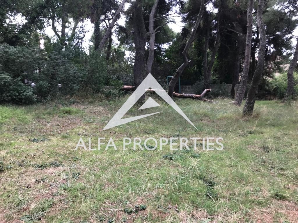 Land in Ekali, Attica, Greece 2 - 13492112