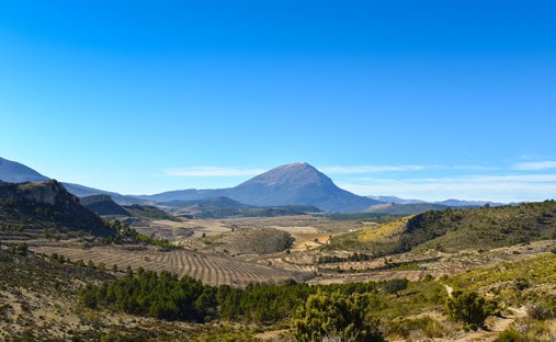 Finca en Centro, Granada, España 1