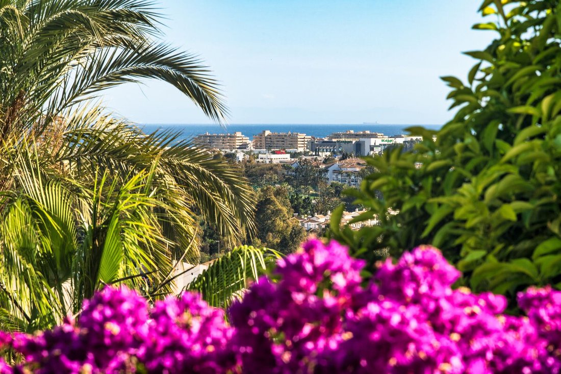 House in Puerto Banus, Marbella, Spain 3 - 13495733