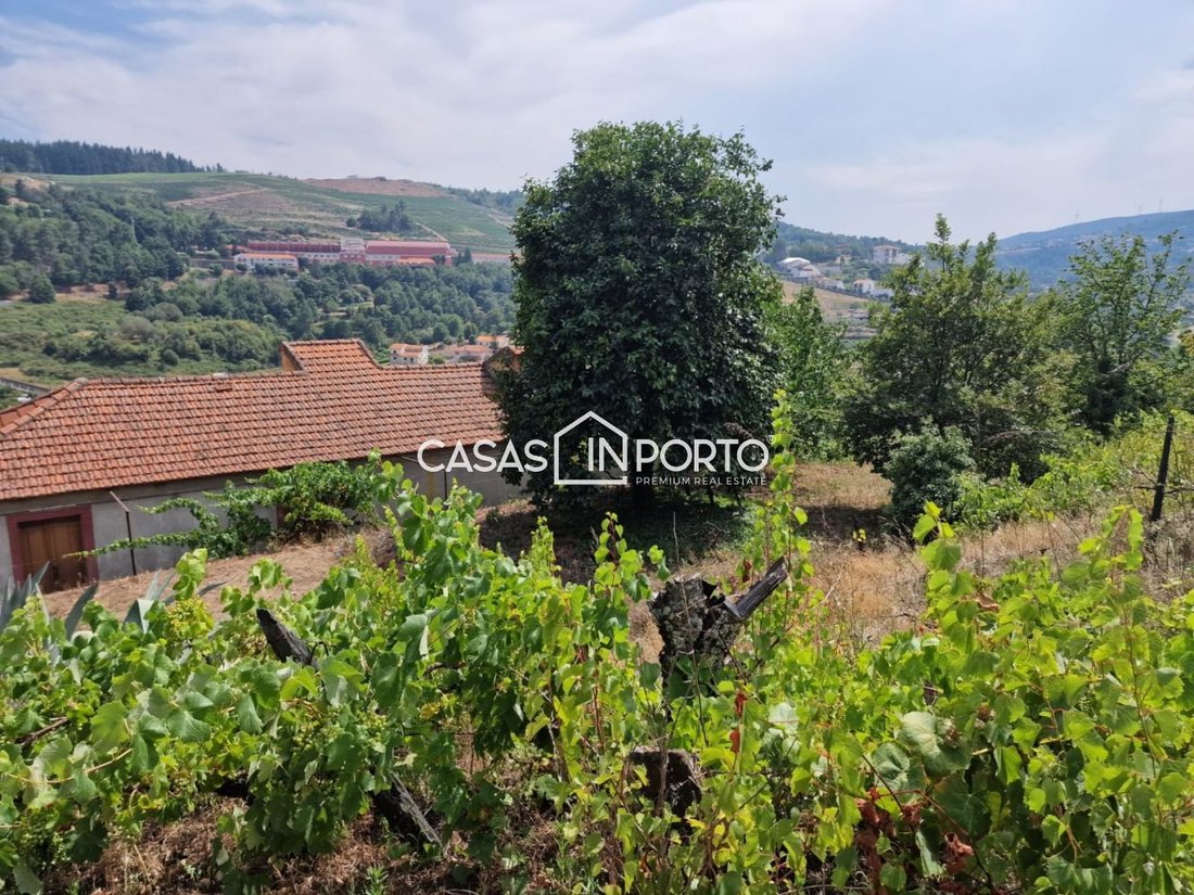 Terreno en Almacave, Distrito de Viseu, Portugal 1 - 13500971