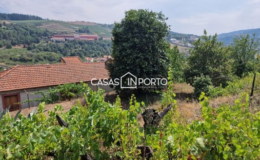Azienda agricola a Almacave, Distretto di Viseu, Portogallo 1